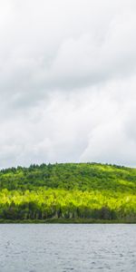 Naturaleza,Ríos,Árboles,Cielo,Nubes,Bosque,Cerro,Loma