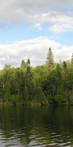 Rivers,Trees,Sky,Wind,Nature