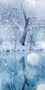 Rivers,Trees,Snow,Landscape