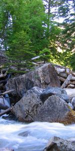 Naturaleza,Árboles,Stones,Bosque,Presa,Registros,Trozas,Ríos