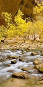 Rivers,Trees,Stones,Landscape