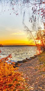 Rivers,Trees,Sunset,Autumn,Landscape