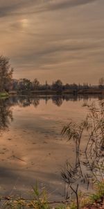 Rivers,Trees,Sunset,Landscape