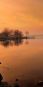 Arbres,Rivières,Coucher De Soleil,Paysage