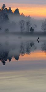 Rivers,Trees,Sunset,Landscape