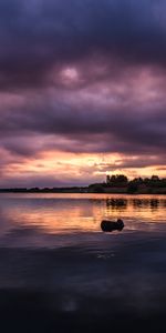 Rivers,Trees,Sunset,Twilight,Clouds,Dusk,Nature