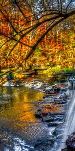 Rivers,Waterfall,Nature,Forest