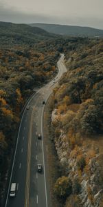 Road,Auto,Nature,Trees,Autumn,Forest