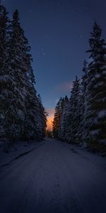 Road,Dark,Dusk,Trees,Snow,Twilight,Winter