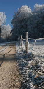 Nature,Cheveux Gris,Haie,Enjeux,Rattachement,Route,Du Froid,Froid,Pays,Clôture,Gel,Givre,Hiver,Campagne