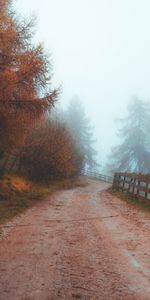 Road,Fog,Fence,Dahl,Nature,Distance