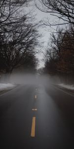 Road,Fog,Nature,Trees,Alley