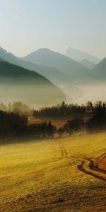 Road,Fog,Relief,Hills,Morning,Country,Countryside,Mountains,Nature