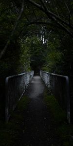 Road,Forest,Bridge,Dahl,Dark,Distance