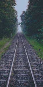 Road,Forest,Dahl,Nature,Distance,Rails