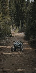 Road,Forest,Extreme,Atv,Quad Bike,Wheels,Motorcycles