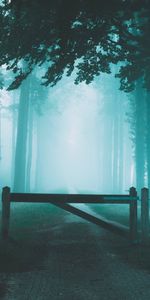 Road,Forest,Fog,Barrier,Nature