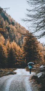 Road,Forest,Human,Person,Nature,Umbrella,Rain