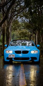 Road,Front View,Bmw 5,Forest,Car,Cars,Bmw,Rain