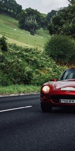 Verduras,Coches,Camino,Un Coche,Cabriolet,Cabriolé,Máquina