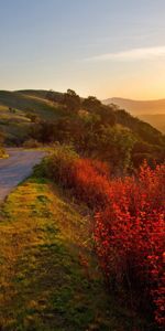 Road,Movement,Elevation,Turn,Traffic,Nature,Autumn