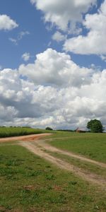 Maisons,Route,Domaine,Champ,Nature,Paysage