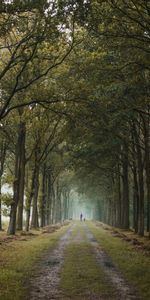 Road,Path,Dahl,Human,Person,Nature,Trees,Distance,Alley