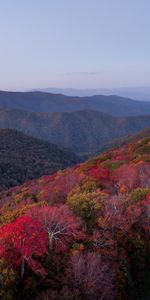 Naturaleza,Árboles,Otoño,Camino