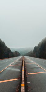 Route,Balisage,Nature,Brouillard,Arbres,Lignes