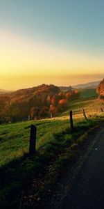 Road,Turn,Traffic,Movement,Autumn,Nature