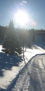 Route,Nature,Neige,Hiver