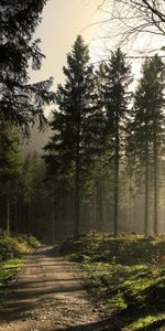 Roads,Landscape