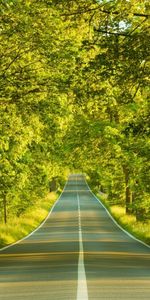 Roads,Landscape