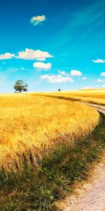 Roads,Landscape,Fields