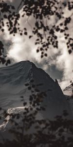 Rock,Branches,Nature,Darkness