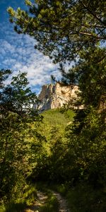 Rock,Forest,Break,Precipice,Path,Nature