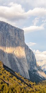 Rock,Forest,Break,Precipice,Slope,Nature