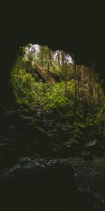 Naturaleza,Escaleras,Roca,Escalera,Cueva,Oscuro