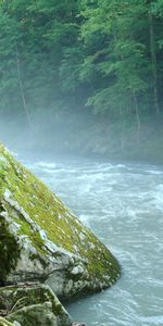 Rock,Moss,Mountain River,Adygea,Nature,Stone