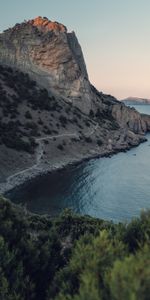 Rock,Plant,Coast,Nature,Sea