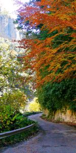 Rock,Road,Vegetation,Fencing,Bends,Spain,Aragon,Nature,Turn,Asphalt,Enclosure