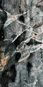 Rock,Texture,Relief,Stone,Fossil,Textures