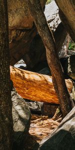 Bois,En Bois,Un Rocher,Journaux,Texture,Pierre,Textures