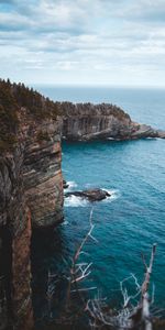 Branches,Se Rompre,Précipice,Les Rochers,Roches,Surfer,Le Surf,Nature