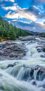 Cascada,Las Rocas,Stones,Noche,Rocas,Naturaleza,Árboles,Paisaje