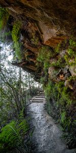 Naturaleza,Escaleras,Roca,Las Rocas,Rocas,Helecho,Piedra,Escalera