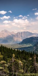 Morceaux,Forêt,Cubes,Nature,Les Rochers,Roches