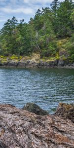 Rocks,Shore,Bank,Rivers,Trees,Nature