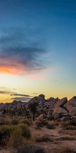 Rocks,Trees,Sunset,Bush,Prairie,Nature