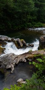 Лес,Скалы,Природа,Вода,Водопад,Растения